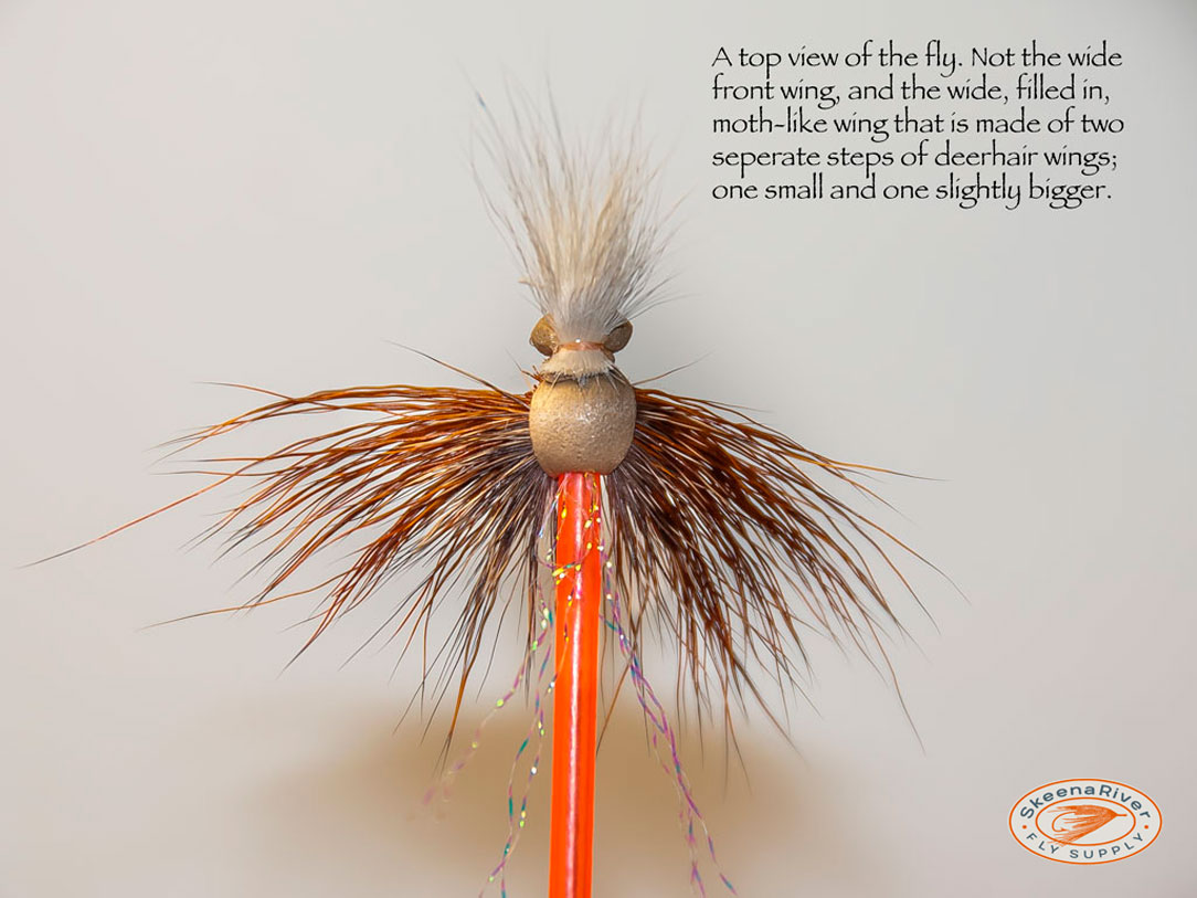 Seek and Destroy Fly Tying - Step 10