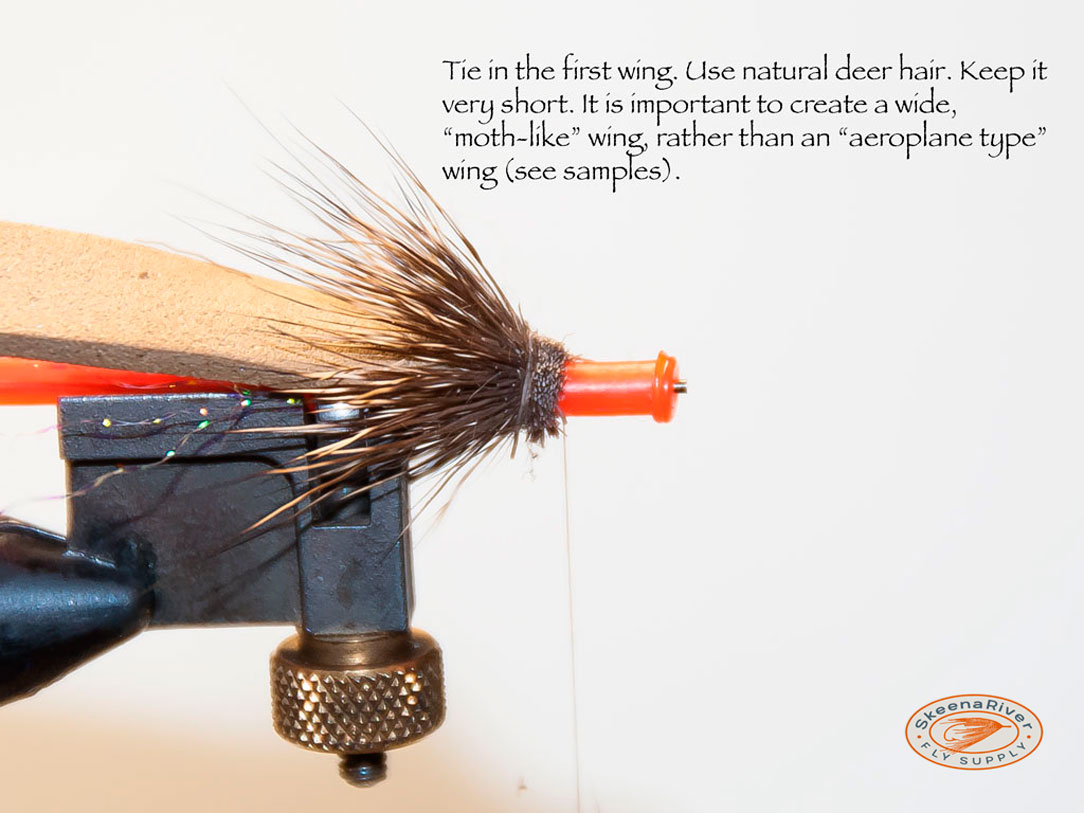 Seek and Destroy Fly Tying - Step 6