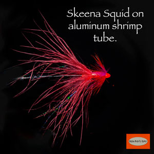 “Skeena Squid”