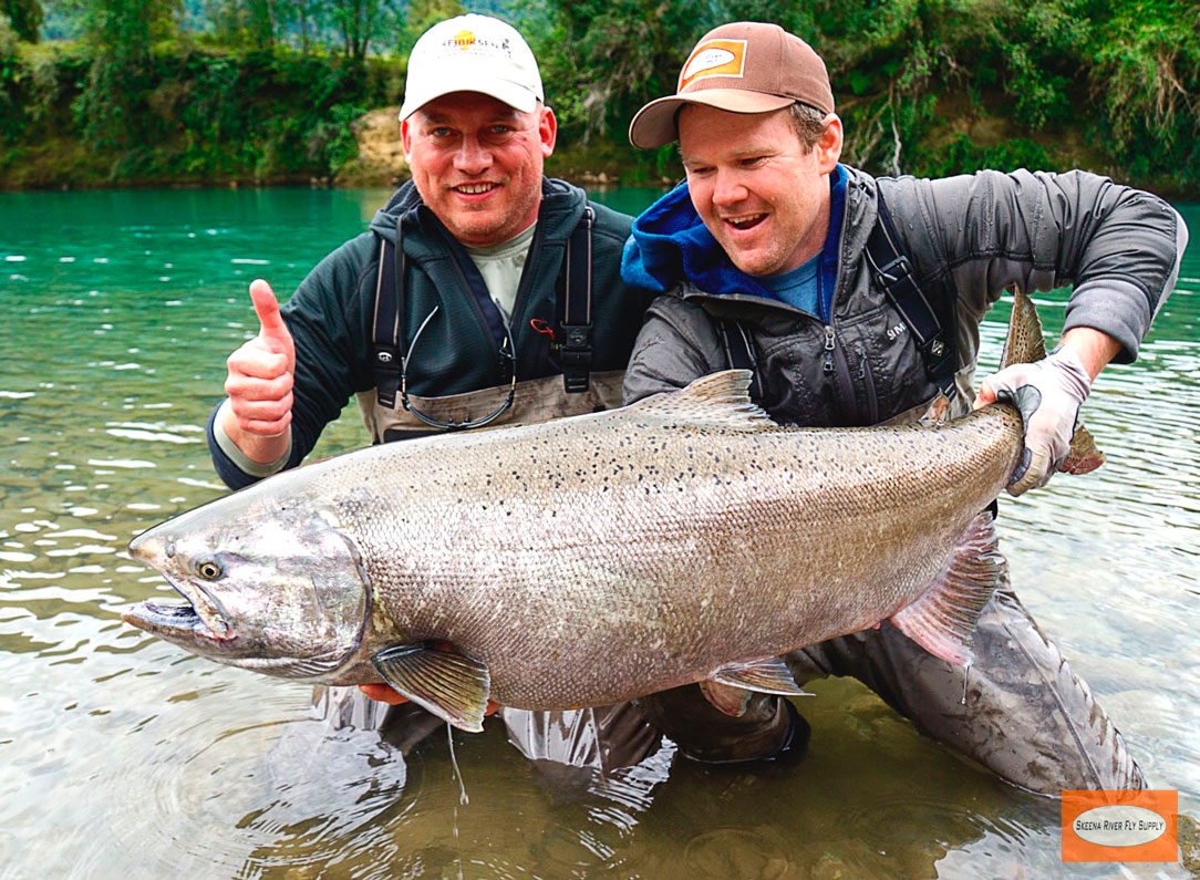 Battling Giants in Southern Chile