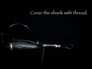 Fly Tying - Gonatid Squid