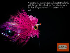 Tsunami Squid - Fly Tying