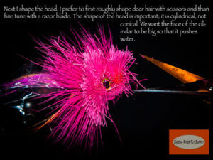Tsunami Squid - Fly Tying
