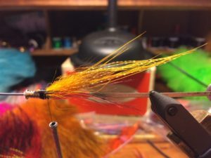 Yellow Tailed Shrimp - Fly Tying