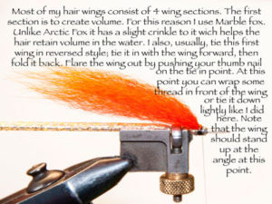 Create a Great Hair Wing - Figure 2
