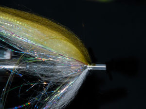 How to Tie a Tapam Special Fly - Step 11