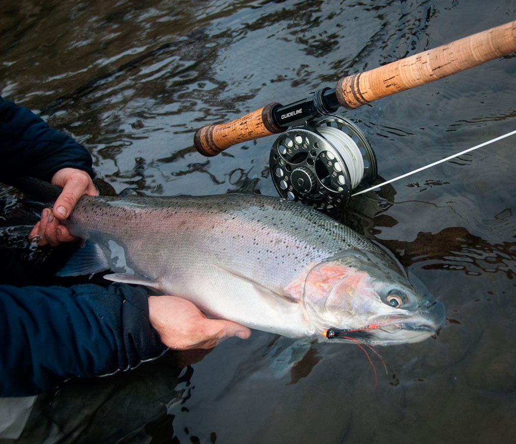 Steelhead Fly Pattern Variation – Does It Matter?