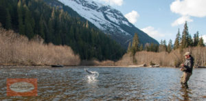 Skeena River Fly Fishing