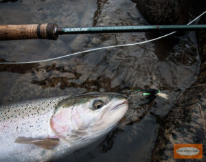 Fly Fishing Rods - Switch and Dry