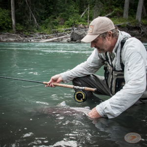 Beads Application - Fig 9 Chinook Catch Release