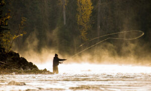 Catching More Fish